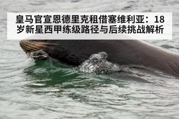 皇马官宣恩德里克租借塞维利亚：18岁新星西甲练级路径与后续挑战解析