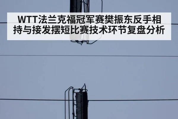 WTT法兰克福冠军赛樊振东反手相持与接发摆短比赛技术环节复盘分析